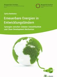 Erneuerbare Energien in Entwicklungsländern - Sylvia Borbonus - kostenlos E-Book