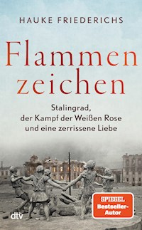 Flammenzeichen - Hauke Friederichs - E-Book