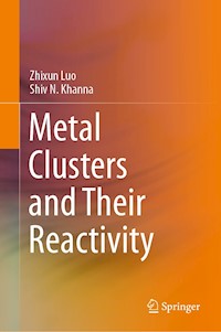 Metal Clusters and Their Reactivity - Zhixun Luo - E-Book