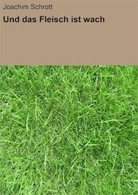Und das Fleisch ist wach - Joachim Schrott - E-Book