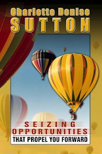 Seizing Opportunities - Charlotte Denise Sutton - E-Book