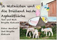 Sechszehn Nistkästen und die brüllend heiße Asphaltfläche - Brigitte Klotzsch - E-Book