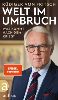 Welt im Umbruch – was kommt nach dem Krieg? - Rüdiger von Fritsch - E-Book