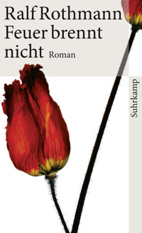 Feuer brennt nicht - Ralf Rothmann - E-Book