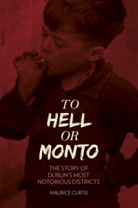 To Hell or Monto - Maurice Curtis - E-Book