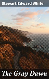 The Gray Dawn - Stewart Edward White - E-Book