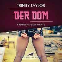 Der Dom / Erotik Audio Story / Erotisches Hörbuch - Trinity Taylor - Hörbuch