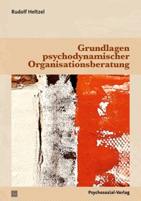Grundlagen psychodynamischer Organisationsberatung - Rudolf Heltzel - E-Book