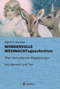 WUNDERVOLLE WEIHNACHTsgeschichten - Sigrid E. Günther - E-Book