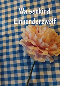 Waisenkind Einhundertzwölf - Christine Stutz - E-Book
