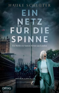 Ein Netz für die Spinne - Hauke Schlüter - E-Book