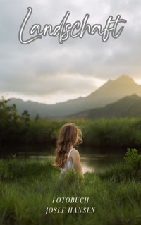 Landschaft - Josef Hansen - E-Book