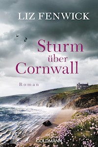 Sturm über Cornwall - Liz Fenwick - E-Book