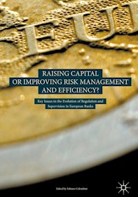 Raising Capital or Improving Risk Management and Efficiency? -  - E-Book