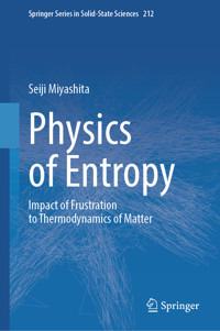 Physics of Entropy - Seiji Miyashita - E-Book