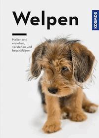 Welpen - Perdita Lübbe-Scheuermann - E-Book