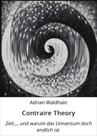 Contraire Theory - Adrian Waldhain - E-Book