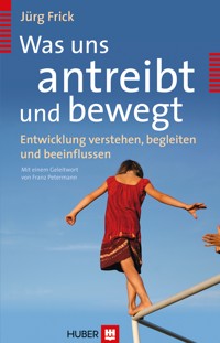 Was uns antreibt und bewegt - Jürg Frick - E-Book