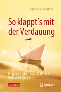 So klappt's mit der Verdauung - Elisabeth Schartner - E-Book
