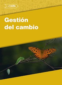 Gestión del Cambio - Alejandro Durán Asencio - E-Book