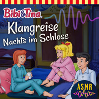 Bibi & Tina, Folge 2: Klangreise Nachts im Schloss - Unknown - Hörbuch