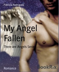 My Angel Fallen - Patricia Rodriguez - E-Book