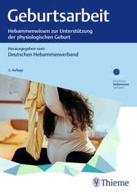 Geburtsarbeit -  - E-Book