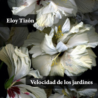 Velocidad de los jardines - Eloy Tizón - Hörbuch