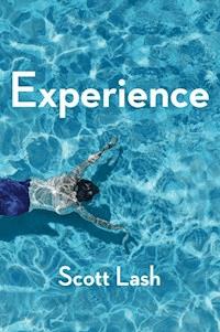 Experience - Scott Lash - E-Book