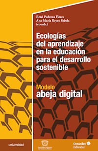 Ecologías del aprendizaje en la educación para el desarrollo sostenible - René Pedroza Flores - E-Book