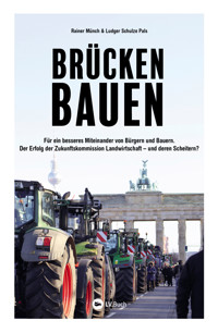 Brücken bauen - Rainer Münch - E-Book