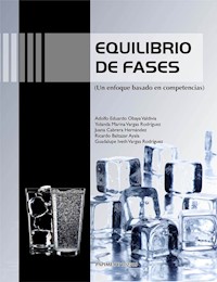 Equilibrio de fases - Adolfo Eduardo Obaya Valdivia - E-Book