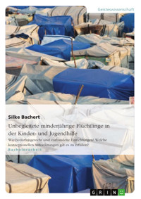 Unbegleitete minderjährige Flüchtlinge in der Kinder- und Jugendhilfe - Silke Bachert - E-Book