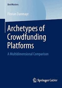 Archetypes of Crowdfunding Platforms - Florian Danmayr - E-Book
