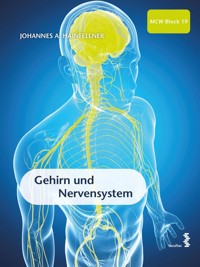 Gehirn und Nervensystem -  - E-Book