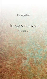 Niemandsland - Elena Jedaite - E-Book