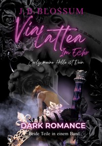 Via Lattea im Echo - j.b. blossum - E-Book