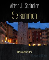 Sie kommen - Alfred J. Schindler - E-Book
