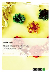 Mitarbeitermotivation im Öffentlichen Dienst - Meike Jung - E-Book