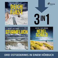Deichfürst, Sturmfluch, Nebelschuld - Heike van Hoorn - Hörbuch