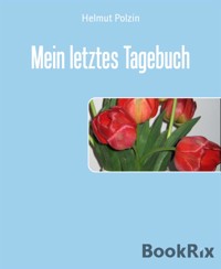 Mein letztes Tagebuch - Helmut Polzin - kostenlos E-Book