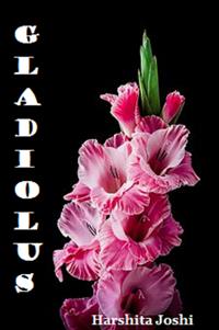 Gladiolus - Harshita Joshi - E-Book