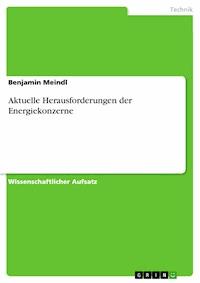 Aktuelle Herausforderungen der Energiekonzerne - Benjamin Meindl - E-Book