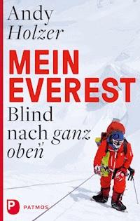 Mein Everest - Andy Holzer - E-Book