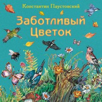 Заботливый цветок - Константин Паустовский - Hörbuch