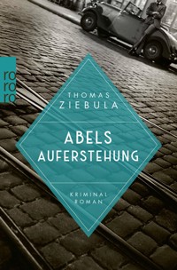 Abels Auferstehung - Thomas Ziebula - E-Book