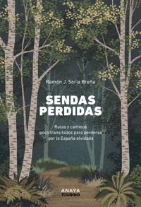 Sendas perdidas - Ramón J. Soria Breña - E-Book