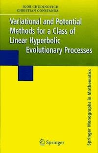 Variational and Potential Methods for a Class of Linear Hyperbolic Evolutionary Processes - Igor Chudinovich - E-Book