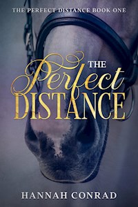 The Perfect Distance - Hannah Conrad - E-Book