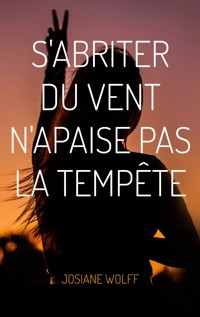 S'abriter du vent n'apaise pas la tempête - Josiane Wolff - E-Book